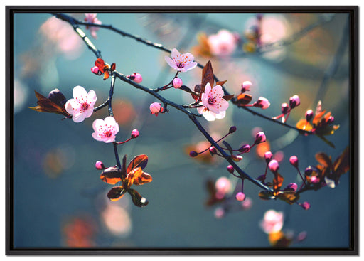 Exotische Sakura Blüten auf Leinwandbild gerahmt Größe 100x70