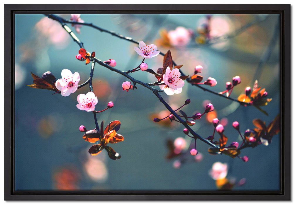Exotische Sakura Blüten auf Leinwandbild gerahmt Größe 60x40