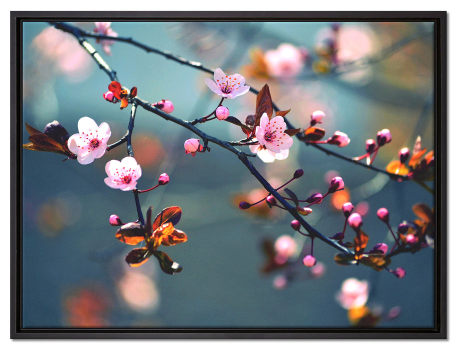 Exotische Sakura Blüten auf Leinwandbild gerahmt Größe 80x60