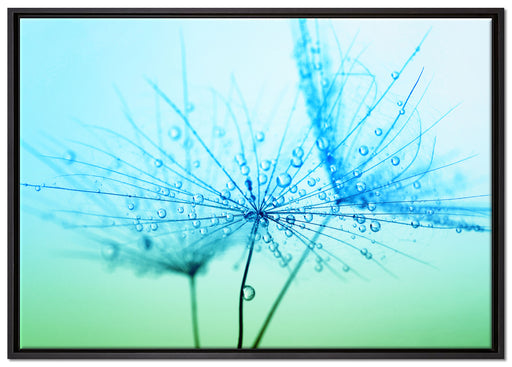 Pusteblume bedeckt mit Tropfen auf Leinwandbild gerahmt Größe 100x70