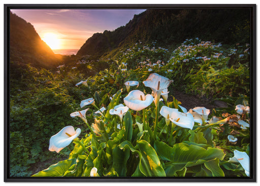 Blumenwiese in den Bergen auf Leinwandbild gerahmt Größe 100x70