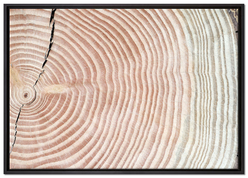 Baumstamm Jahresringe auf Leinwandbild gerahmt Größe 100x70