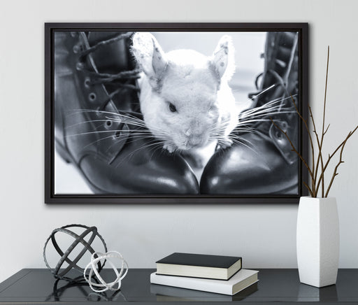 Chinchilla zwischen Schuhen auf Leinwandbild gerahmt mit Kirschblüten