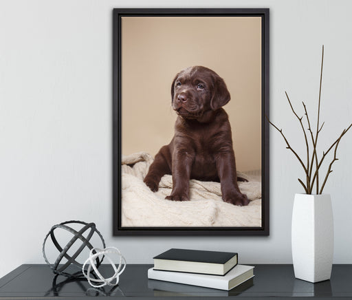 Hundewelpe auf Pullovern auf Leinwandbild gerahmt mit Kirschblüten