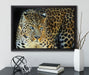 Prächtiger Leopard auf Leinwandbild gerahmt mit Kirschblüten