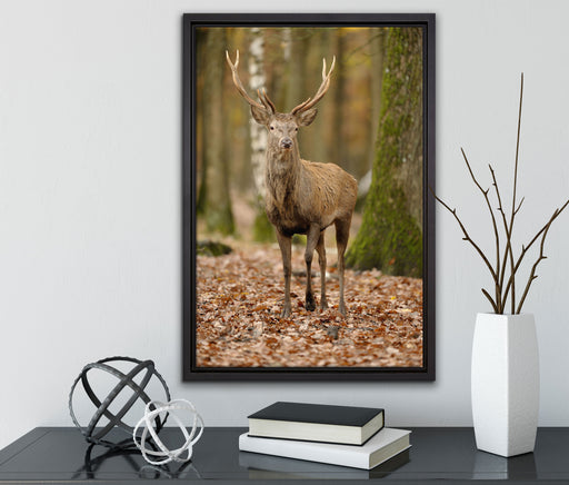 Schöner Hirsch im Wald auf Leinwandbild gerahmt mit Kirschblüten