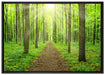 Sonne im Wald auf Leinwandbild gerahmt Größe 100x70