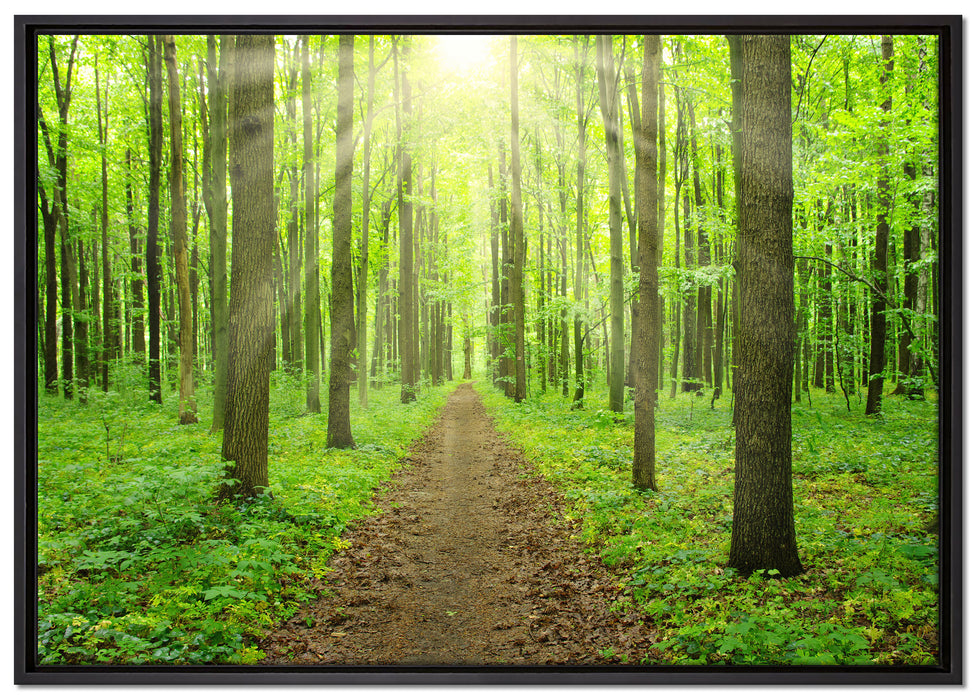 Sonne im Wald auf Leinwandbild gerahmt Größe 100x70
