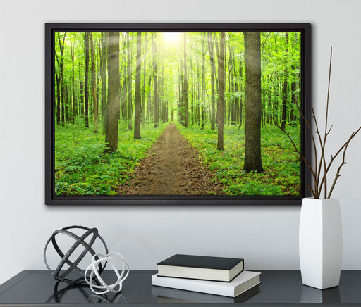 Sonne im Wald auf Leinwandbild gerahmt mit Kirschblüten