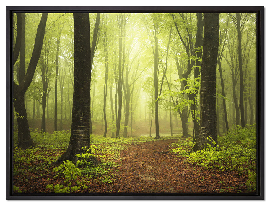 Weg im Wald auf Leinwandbild gerahmt Größe 80x60