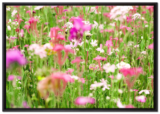 Wundervolle Blumenwiese auf Leinwandbild gerahmt Größe 100x70