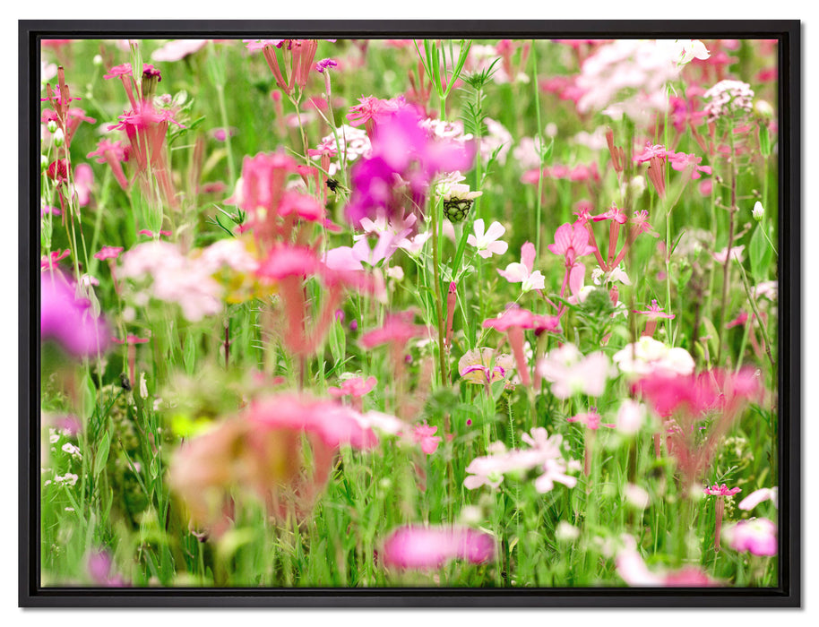 Wundervolle Blumenwiese auf Leinwandbild gerahmt Größe 80x60