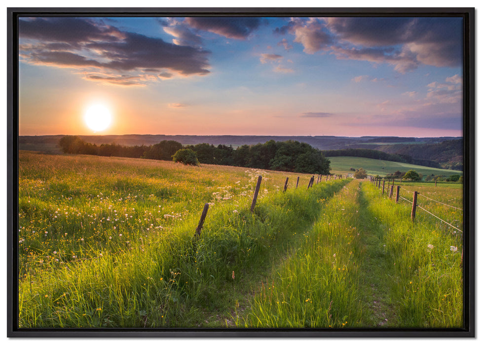 Bergwiese im Sonnenaufgang auf Leinwandbild gerahmt Größe 100x70