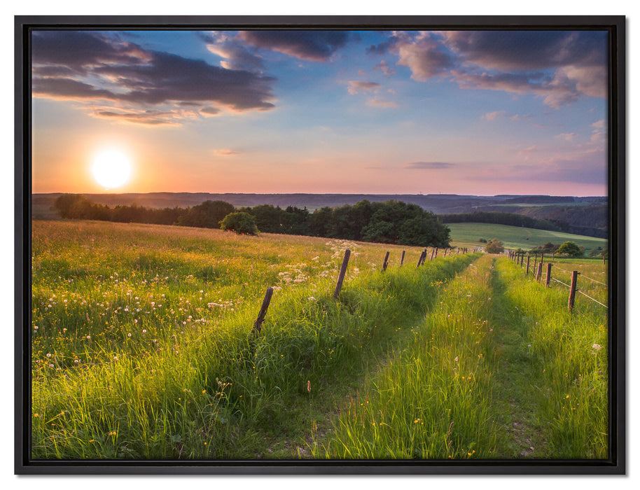 Bergwiese im Sonnenaufgang auf Leinwandbild gerahmt Größe 80x60