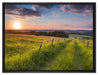 Bergwiese im Sonnenaufgang auf Leinwandbild gerahmt Größe 80x60