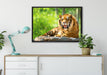 Tiger auf einem Stein auf Leinwandbild gerahmt verschiedene Größen im Wohnzimmer