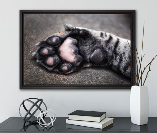 Schöne Katzenpfote auf Leinwandbild gerahmt mit Kirschblüten