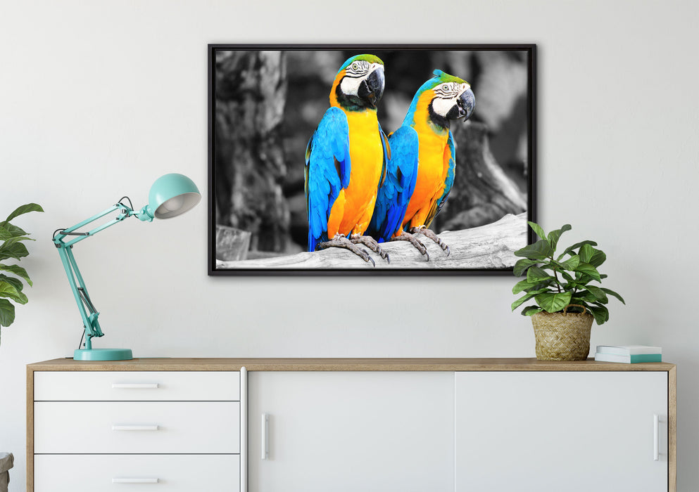 Zwei Papageien auf Leinwandbild gerahmt verschiedene Größen im Wohnzimmer