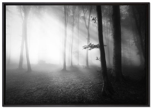 Düsterer Wald im Nebel auf Leinwandbild gerahmt Größe 100x70