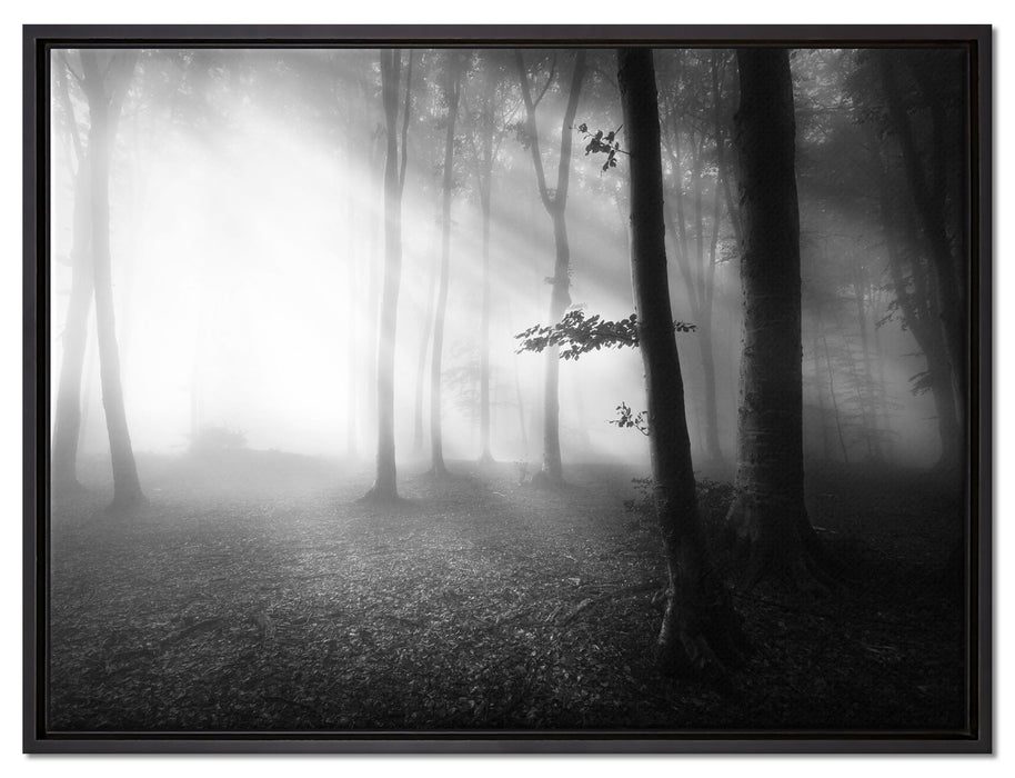 Düsterer Wald im Nebel auf Leinwandbild gerahmt Größe 80x60