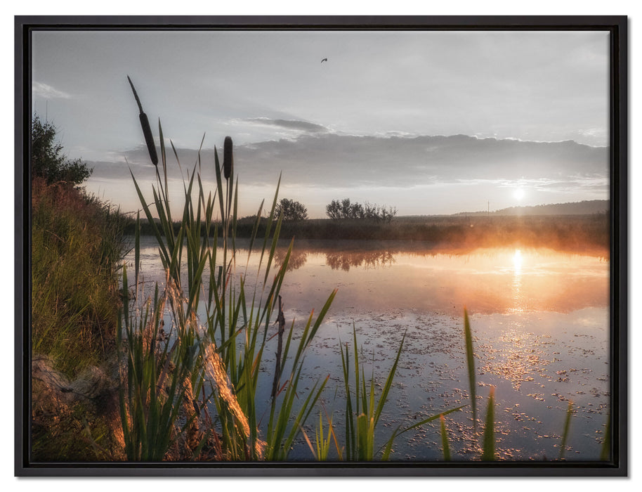 Sonniger Morgen am See auf Leinwandbild gerahmt Größe 80x60