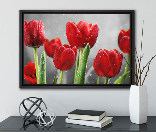 Rote Tulpen mit Tropfen bedeckt auf Leinwandbild gerahmt mit Kirschblüten