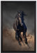 Elegantes schwarzes Pferd auf Leinwandbild gerahmt Größe 60x40