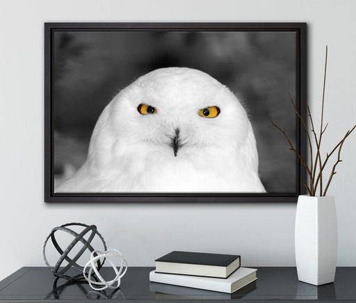 Prächtige schneeweiße Eule auf Leinwandbild gerahmt mit Kirschblüten