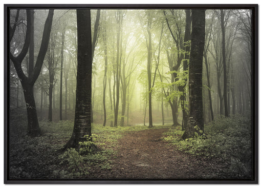 Weg im Wald auf Leinwandbild gerahmt Größe 100x70