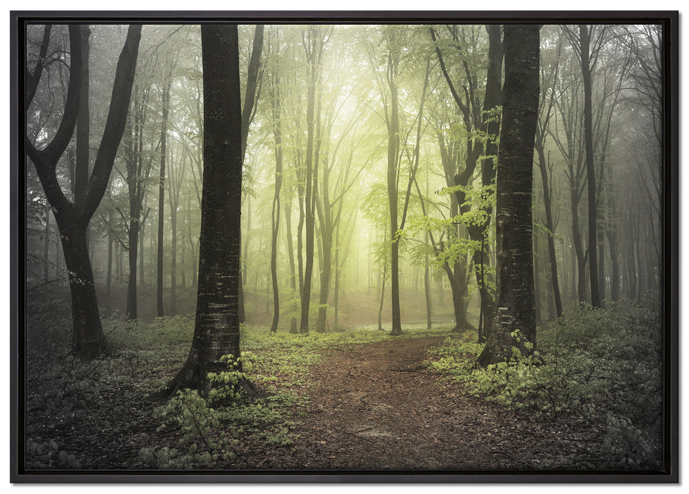 Weg im Wald auf Leinwandbild gerahmt Größe 100x70