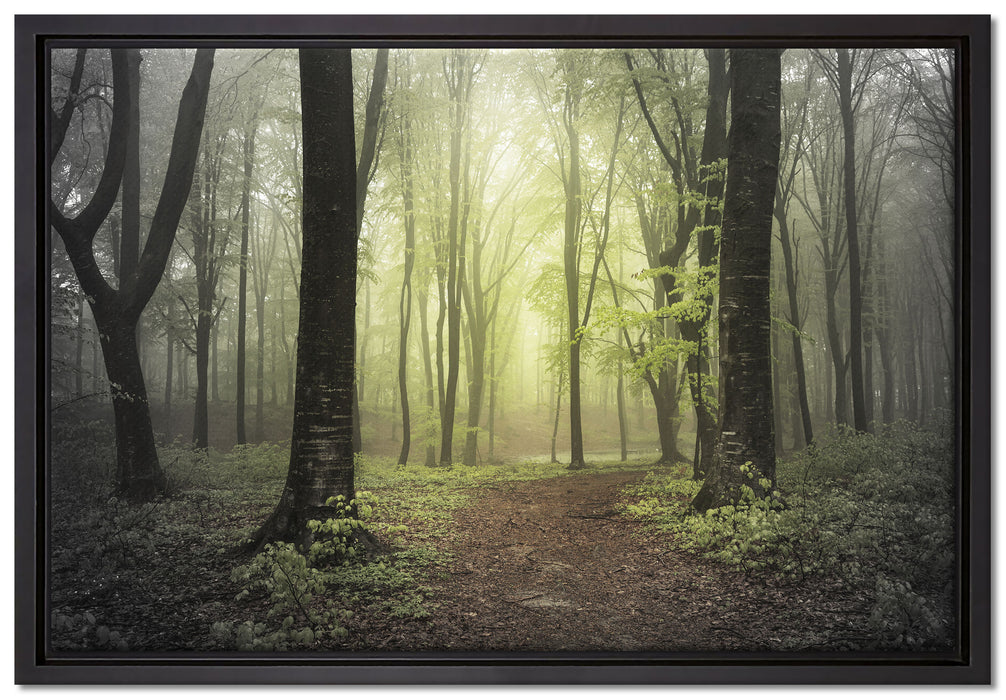 Weg im Wald auf Leinwandbild gerahmt Größe 60x40