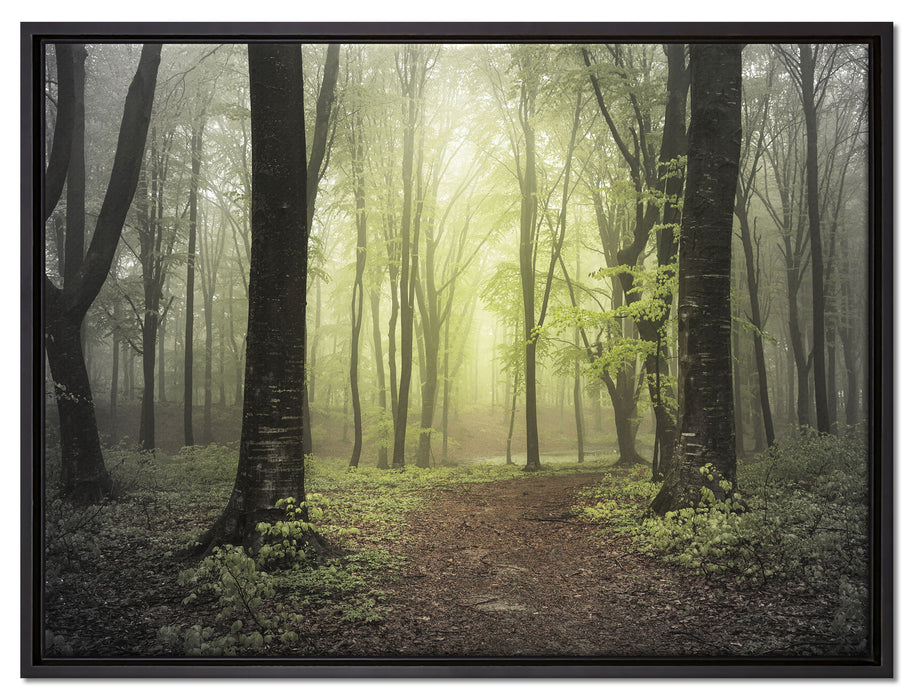 Weg im Wald auf Leinwandbild gerahmt Größe 80x60
