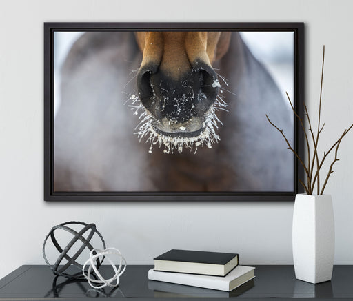 Pferdeschnauze auf Leinwandbild gerahmt mit Kirschblüten