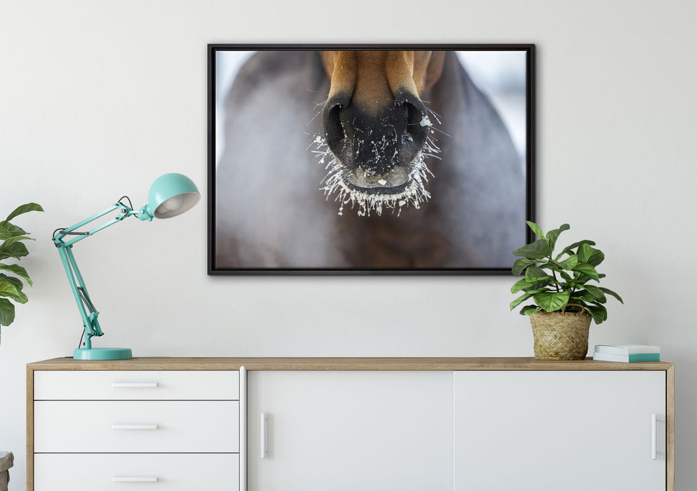 Pferdeschnauze auf Leinwandbild gerahmt verschiedene Größen im Wohnzimmer