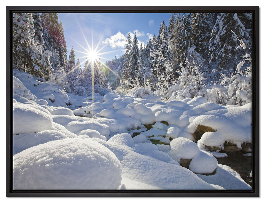Sonnenstrahlen im Wald auf Leinwandbild gerahmt Größe 80x60