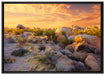 Joshua Wüste im Sonnenuntergang auf Leinwandbild gerahmt Größe 100x70
