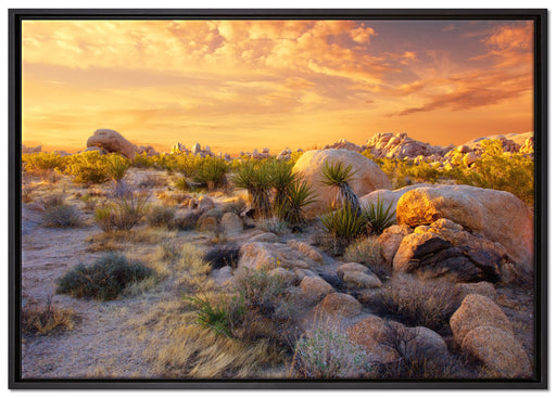 Joshua Wüste im Sonnenuntergang auf Leinwandbild gerahmt Größe 100x70