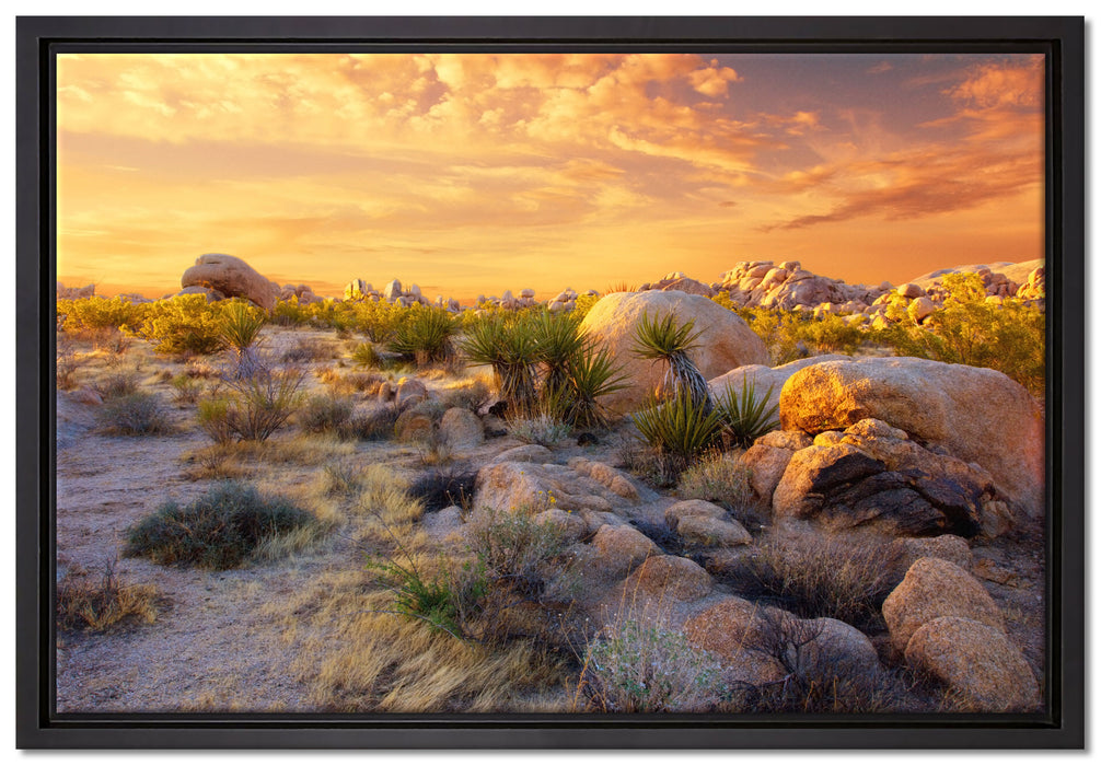 Joshua Wüste im Sonnenuntergang auf Leinwandbild gerahmt Größe 60x40