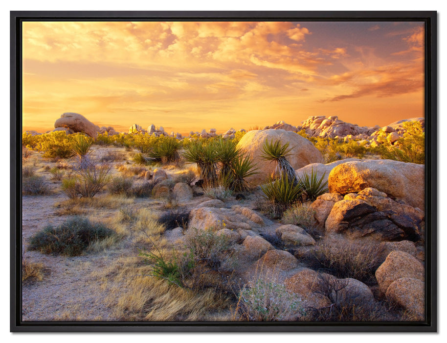 Joshua Wüste im Sonnenuntergang auf Leinwandbild gerahmt Größe 80x60