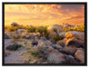 Joshua Wüste im Sonnenuntergang auf Leinwandbild gerahmt Größe 80x60