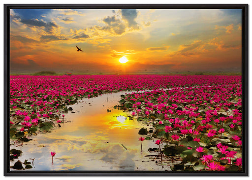Lotusblüten am See auf Leinwandbild gerahmt Größe 100x70