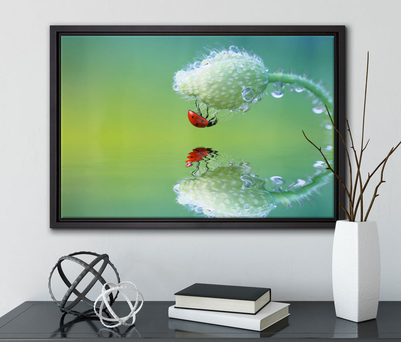 Marienkäfer Mohnblume auf Leinwandbild gerahmt mit Kirschblüten