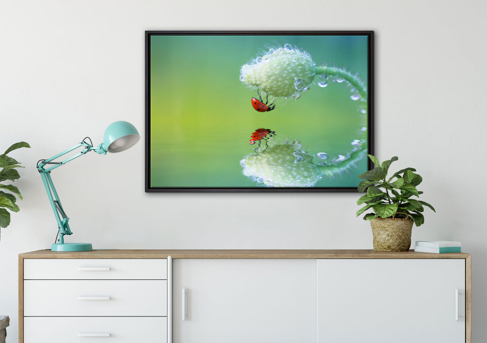Marienkäfer Mohnblume auf Leinwandbild gerahmt verschiedene Größen im Wohnzimmer