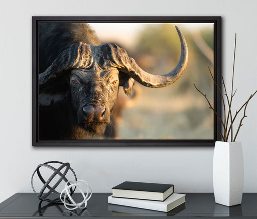Kaffernbüffel mit Hörnern auf Leinwandbild gerahmt mit Kirschblüten