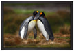 Pinguine in der Antarktis auf Leinwandbild gerahmt Größe 60x40