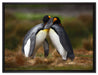 Pinguine in der Antarktis auf Leinwandbild gerahmt Größe 80x60