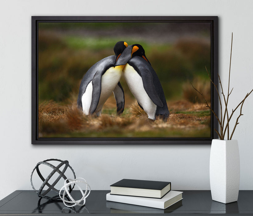 Pinguine in der Antarktis auf Leinwandbild gerahmt mit Kirschblüten