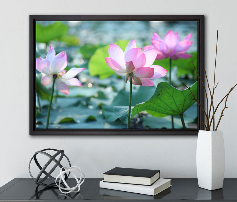 rosa Lotusblüte im Teich auf Leinwandbild gerahmt mit Kirschblüten