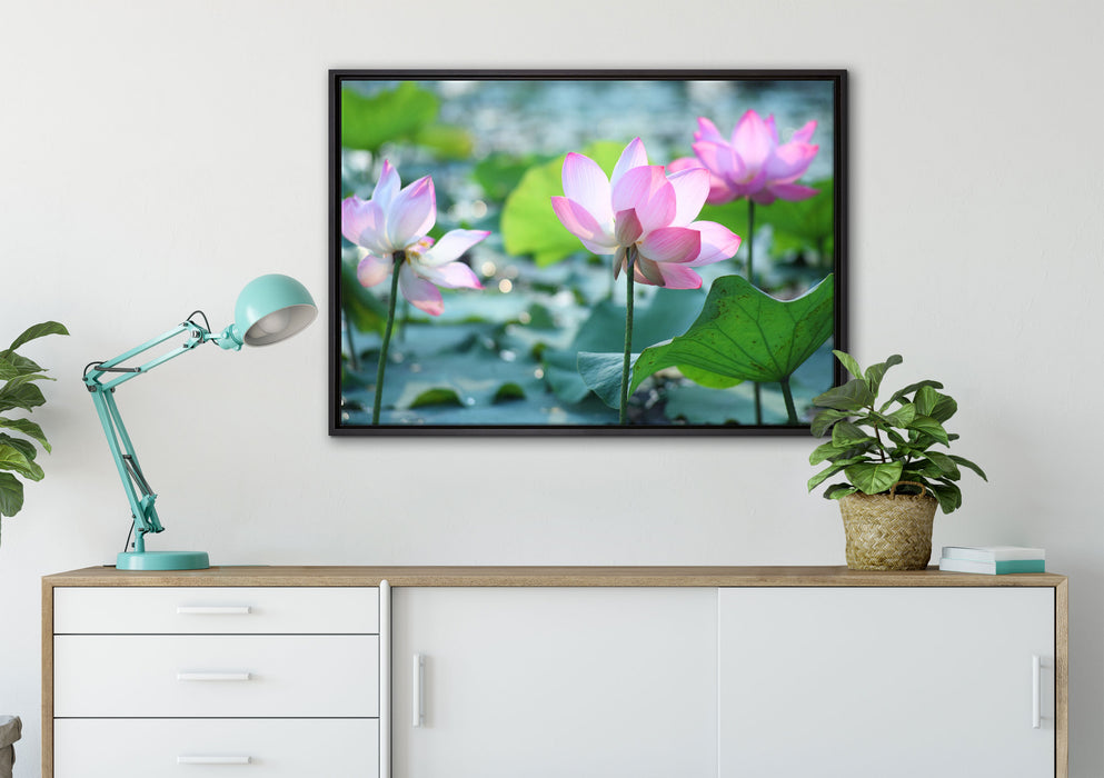 rosa Lotusblüte im Teich auf Leinwandbild gerahmt verschiedene Größen im Wohnzimmer