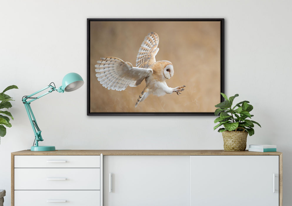 Fliegende Weiße Eule bei der Jagd auf Leinwandbild gerahmt verschiedene Größen im Wohnzimmer